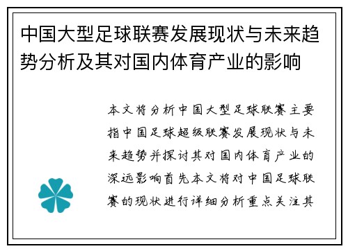 中国大型足球联赛发展现状与未来趋势分析及其对国内体育产业的影响